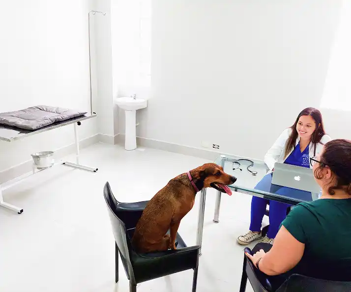 Equipo de veterinarios especializados en radioterapia para mascotas, realizando tratamiento de cáncer en un perro en la clínica Vet Radioterapia SP (Osasco).