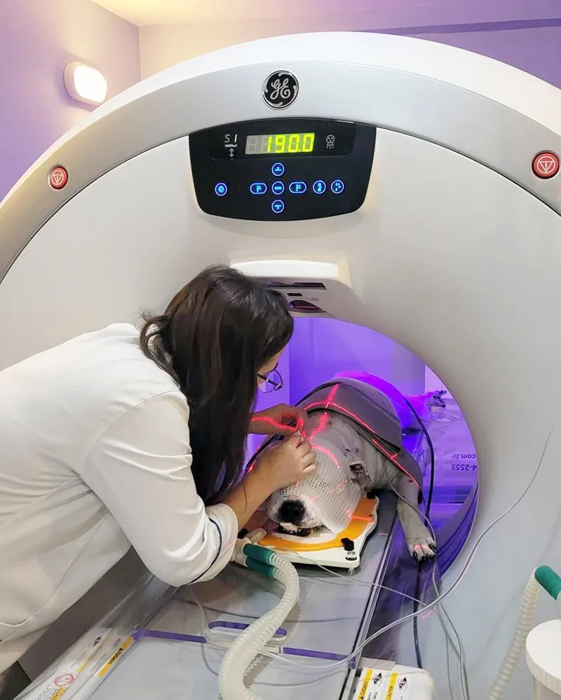 Radioterapia-veterinaria-Vet-Radioterapia-RJ-planejamento-2.webp